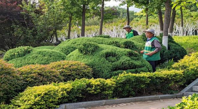 泰安市园林绿化管理服必一体育下载务中心：节日不打“烊”扮靓城市忙必一体育(图1)