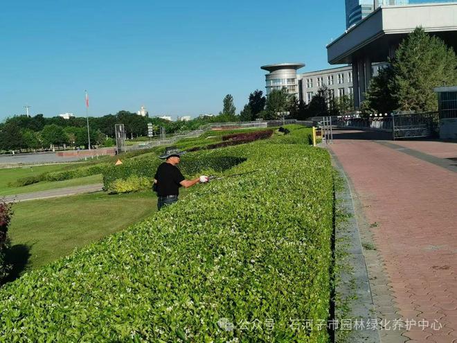 必一必一体育下载体育官网下载园林绿化养护中心高标准、精细化、常态化做好夏季绿化养护工作(图1)