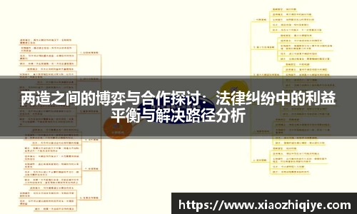 两造之间的博弈与合作探讨:法律纠纷中的利益平衡与解决路径分析